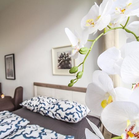 Comfortable Accommodations In The Alterlaa Area Lv6 Wenen Buitenkant foto