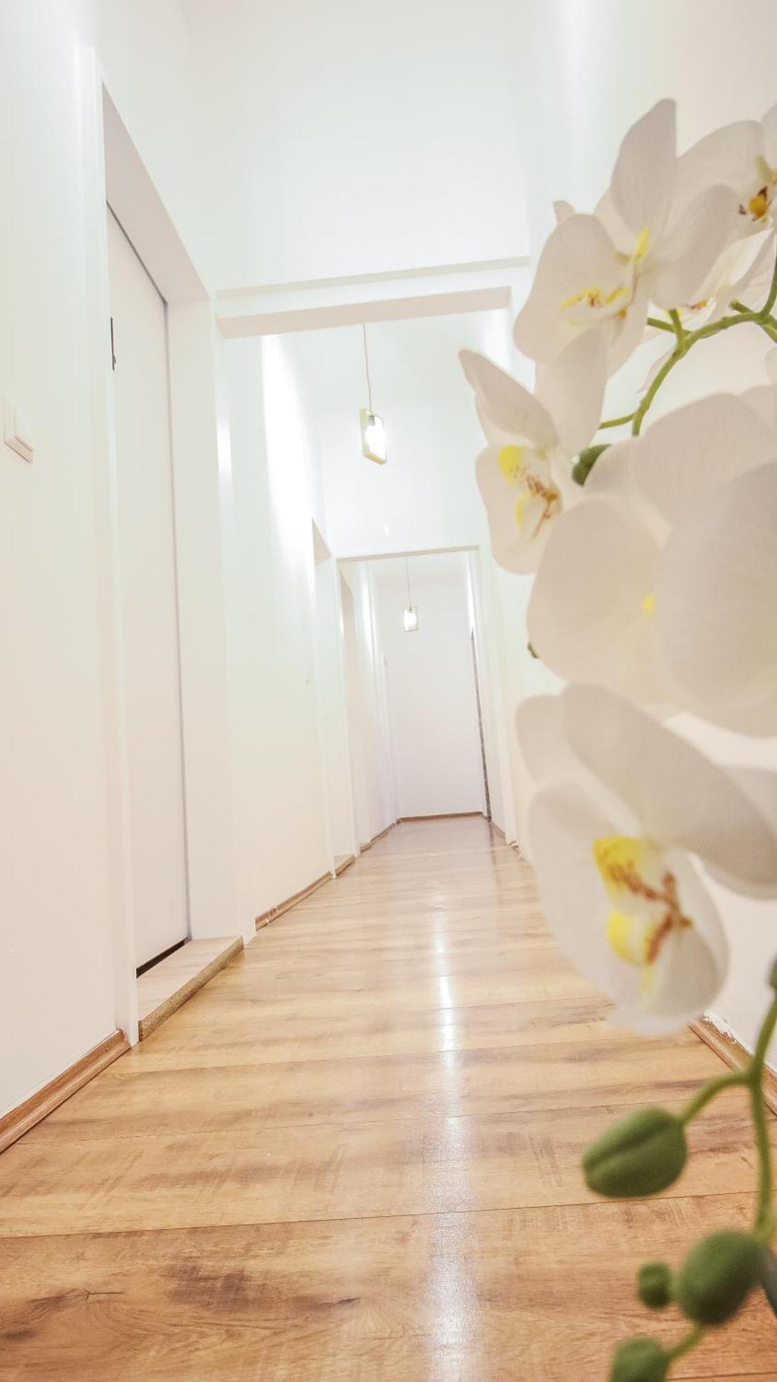 Comfortable Accommodations In The Alterlaa Area Lv6 Wenen Buitenkant foto